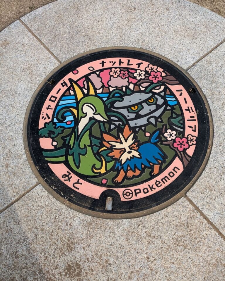 ポケモンのマンホール発見❣️