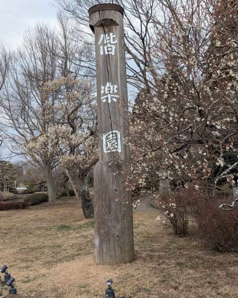 2月11日から梅祭でしたが２週間早かったです〜
