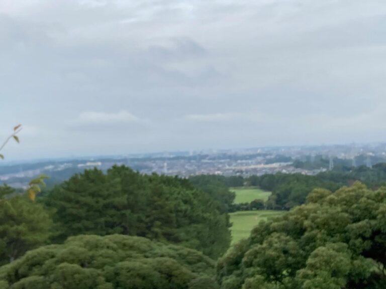 鎌倉の山から横浜が一望！